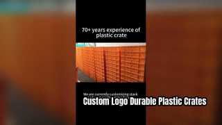 Krat Plastik Tumpukan dan Sarang Custom Sablon Logo | Solusi Branding yang Tahan Lama untuk Logis