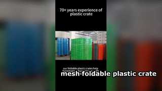 Kemasan Peti Plastik Lipat Mesh untuk Solusi Logistik yang Dapat Digunakan Kembali yang Menghemat Ruang Pelanggan AS