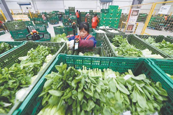 Blog perusahaan terbaru tentang Mengapa Kothak Mesh 600×400×220mm Menjadi Standar untuk Pengiriman Produk Seger Last-Mile pada 2026