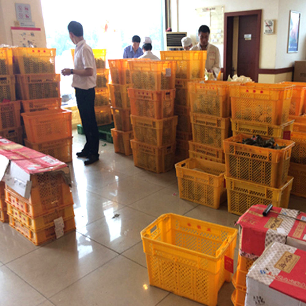 Blog perusahaan terbaru tentang Mengurangi Biaya Logistik Pengembalian Hingga 75%: Keajaiban Teknologi Tumpuk & Sarang 180°