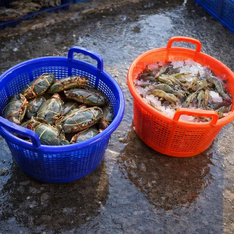 Blog perusahaan terbaru tentang Cara Mencocokkan Dimensi Keranjang Udang Plastik dengan Peralatan Pengolahan yang Ada