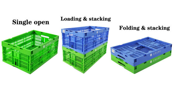 Beli Kothak Plastik Custom Ventilasi Untuk Pertanian & Logistik Gudang pembuatan online